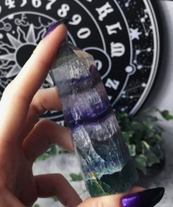 Carlosudela.shop049adfe4ee 1