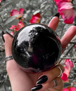 Carlosudela.shop0b0176127b 2