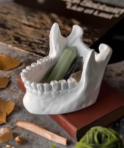 Carlosudela.shop480b6f0468 1