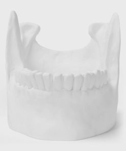 Carlosudela.shop480b6f0468 4