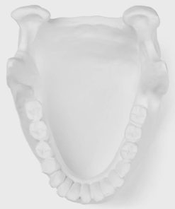 Carlosudela.shop480b6f0468 5