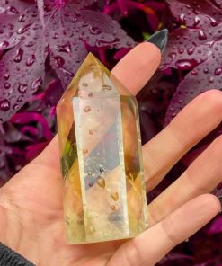 Carlosudela.shop627304f314 1