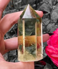 Carlosudela.shop627304f314 2