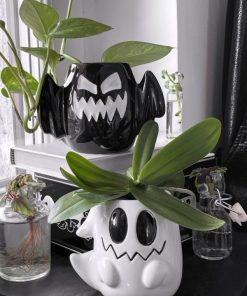 Carlosudela.shop82bf839666 1