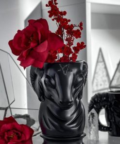 Carlosudela.shop91714da662 3