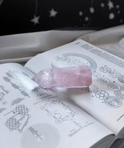 Carlosudela.shopa1ea6a96d6 1