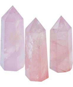 Carlosudela.shopa1ea6a96d6 2