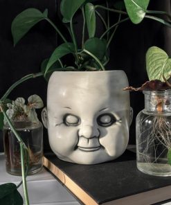 Carlosudela.shopae29515d35 1